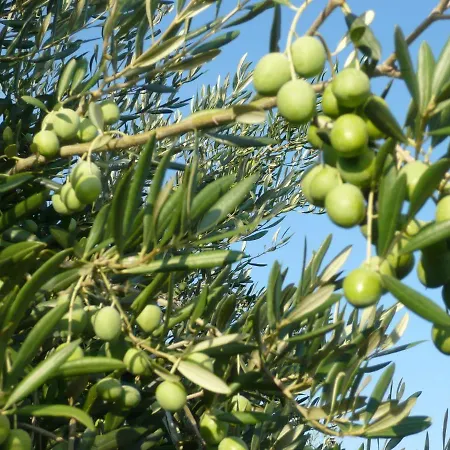 Appartamento In Near Pebble *